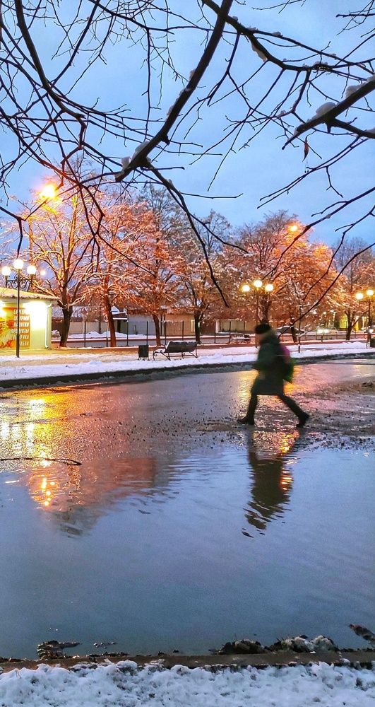 Photograph by Алла Холодова