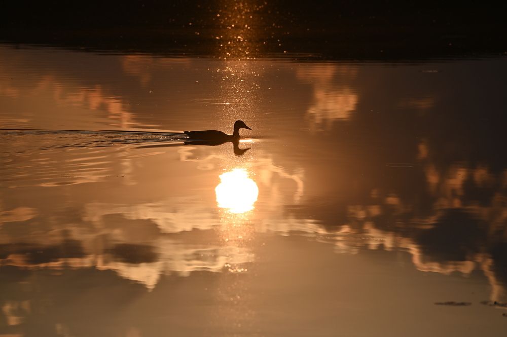 Photograph by Анатолий Андреев