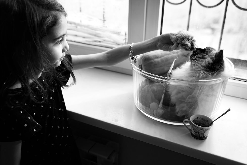 Photograph by Армен Арутюнов