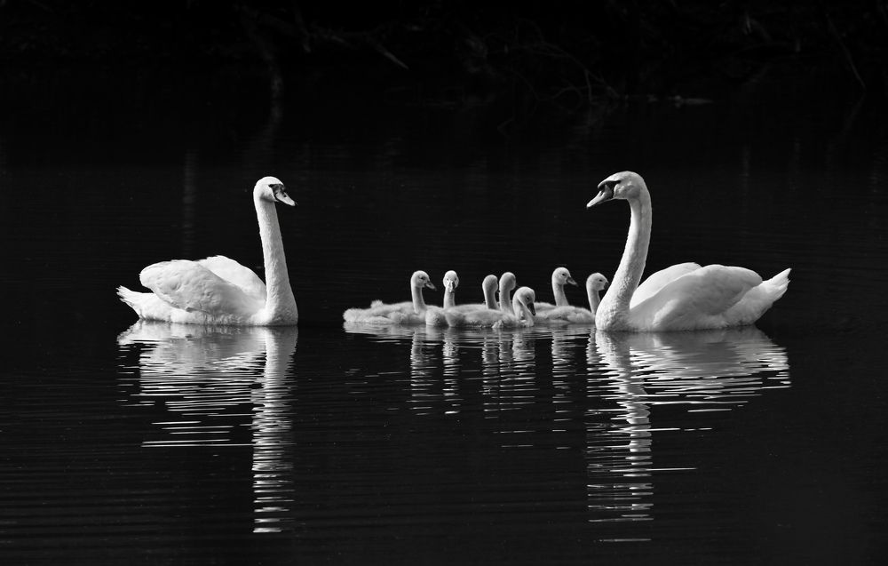 Photograph by Анатолий Андреев