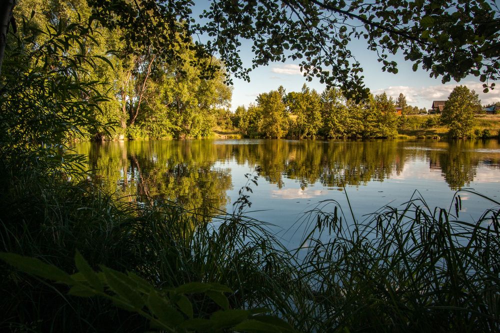 Photograph by Юлия Максимова