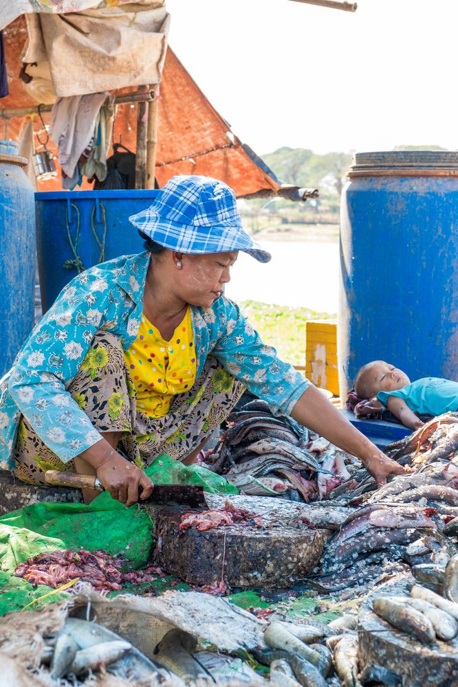 Photograph by Fischer Andreas