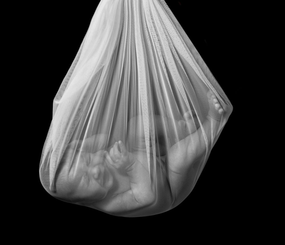 Аист в пути/The stork is on the way