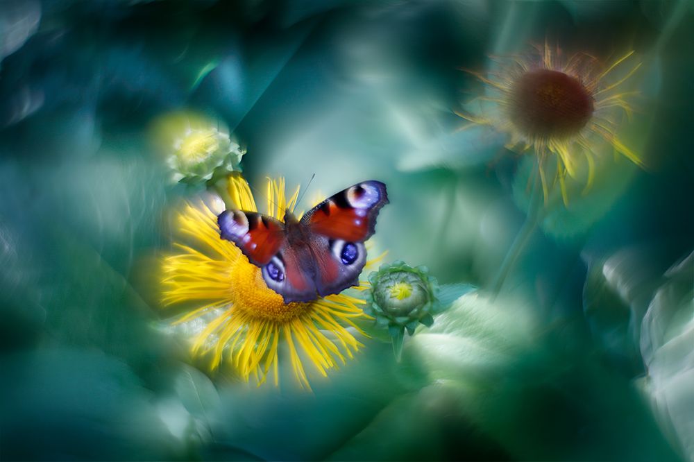 Photograph by Ритам Мельгунов