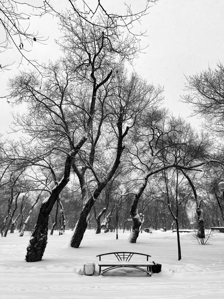 Photograph by Алена Шаргина