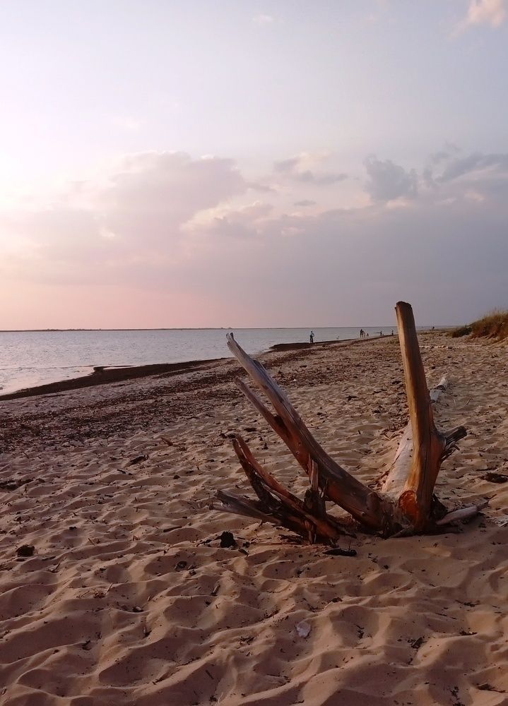 Photograph by Татьяна