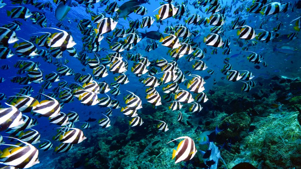 Photograph by Дмитрий Серебряков