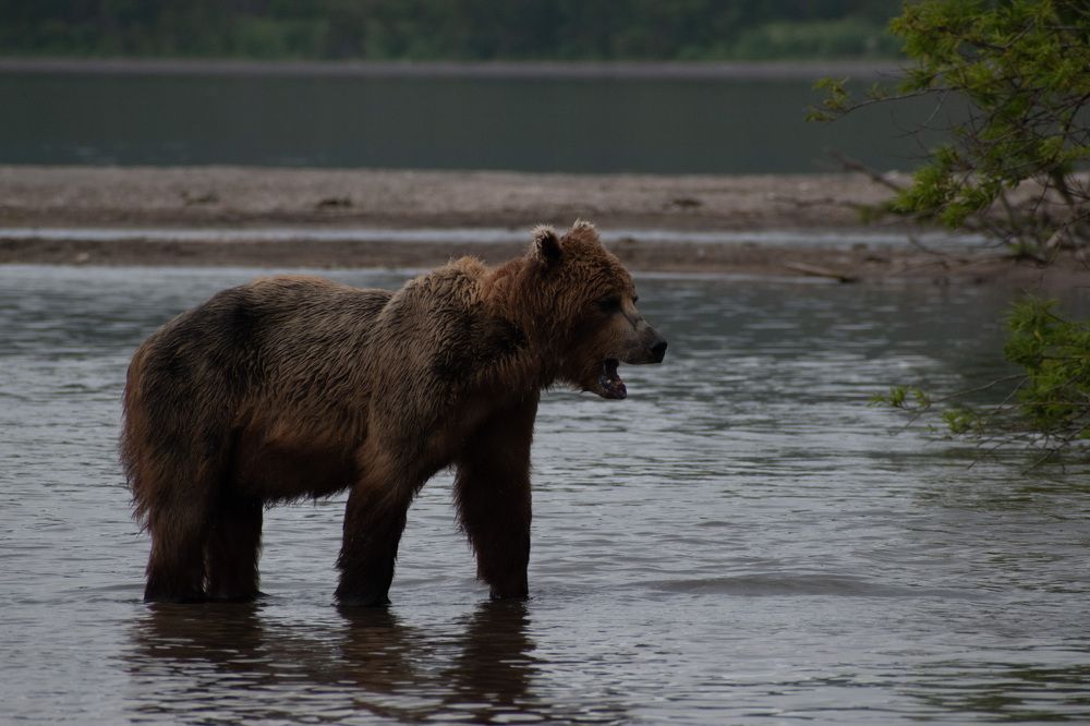 Фотография автора Мария Рохмистрова