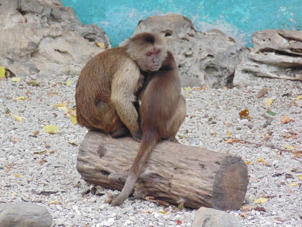 Photograph by Стаскевич Татьяна