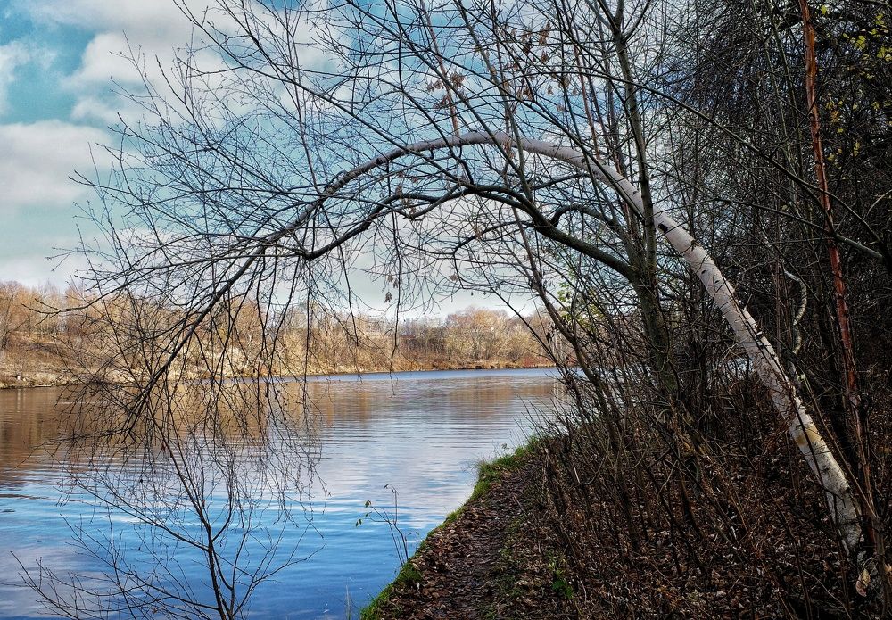 Photograph by Алла