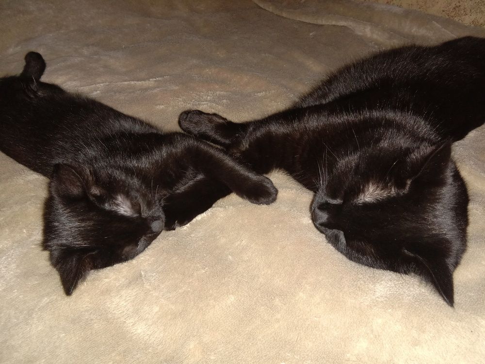 Photograph by Стаскевич Татьяна