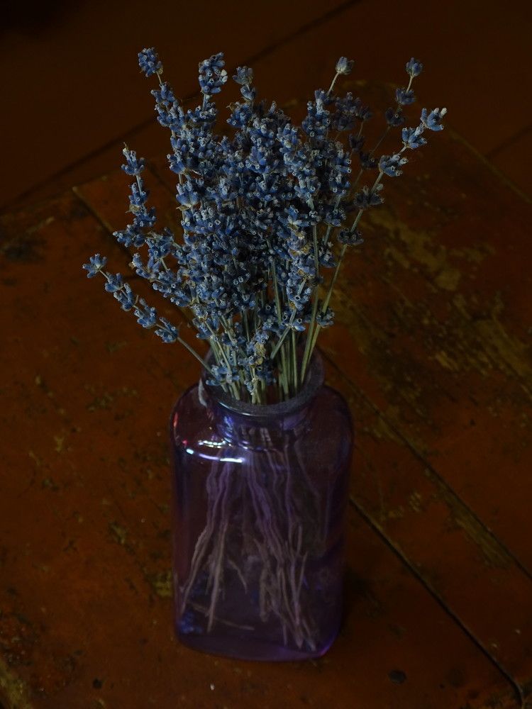 Photograph by Ольга Мохова