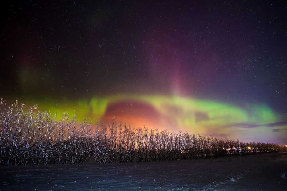 Photograph by Piotr Mickevic