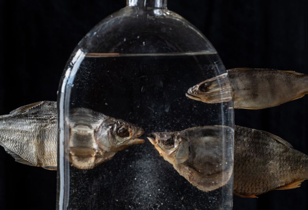 Рыбный разговор на троих.