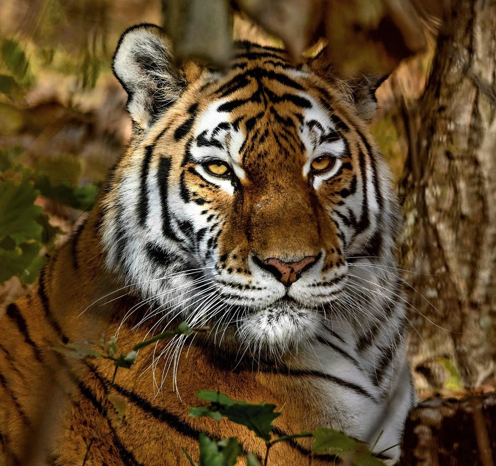 Photograph by Варвара Сапрыкина