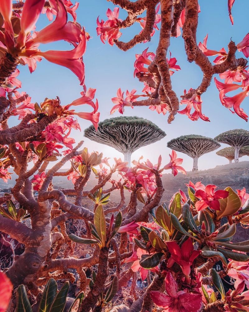 Photograph by Кристина Макеева