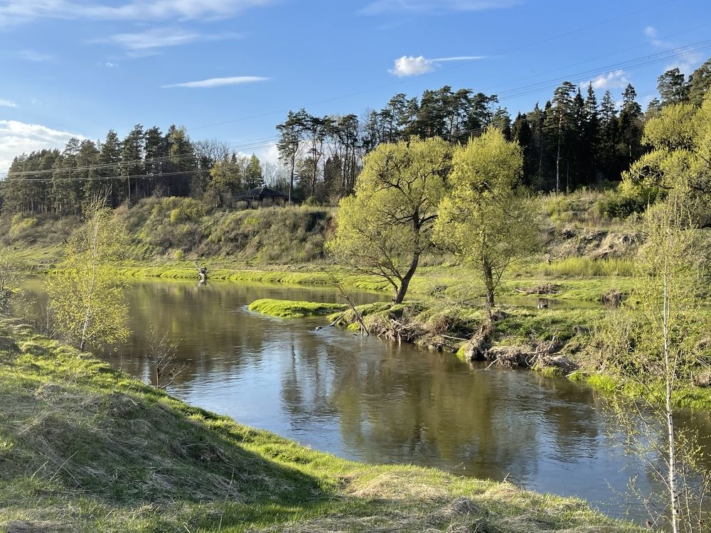 Фотография автора Юлия Шумейко