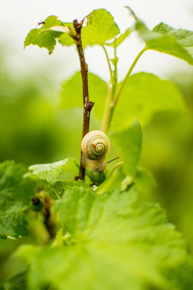 Photograph by Светлана Бурилло