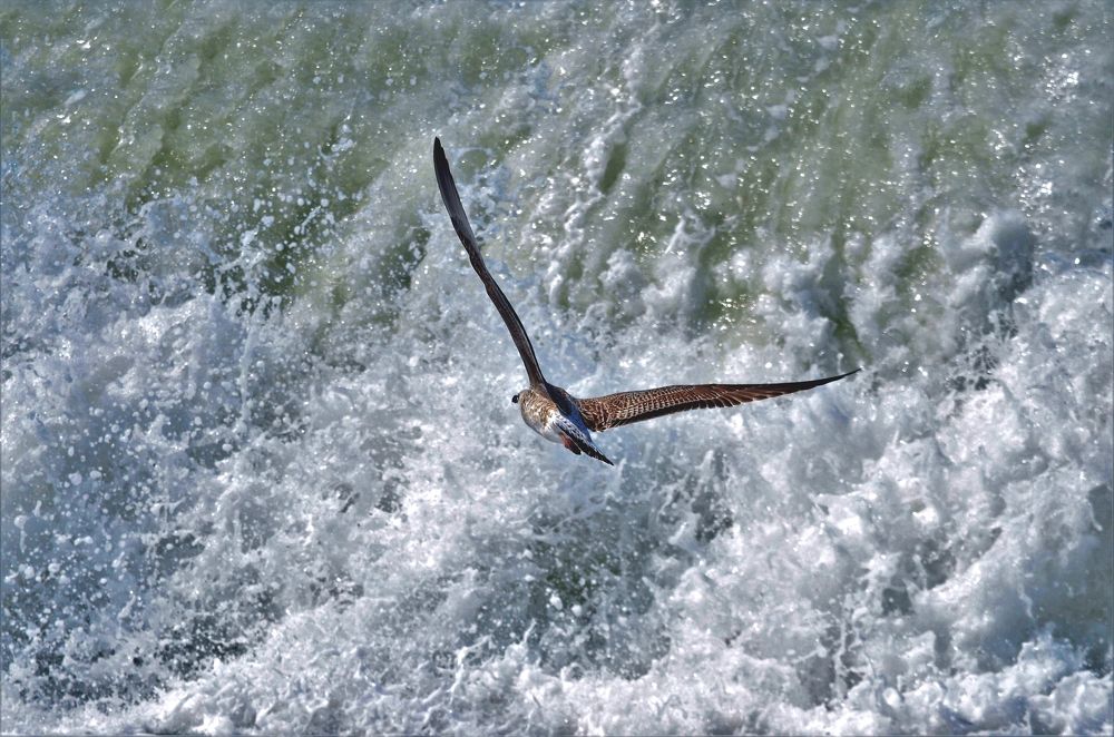 Photograph by Наталья Иванова