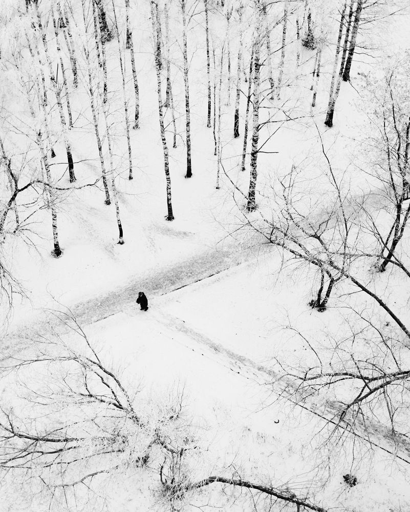 Photograph by Екатерина Лянгасова