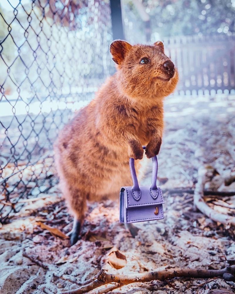 Photograph by Кристина Макеева