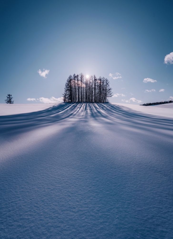 Photograph by Кристина Макеева