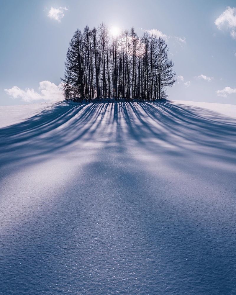 Photograph by Кристина Макеева