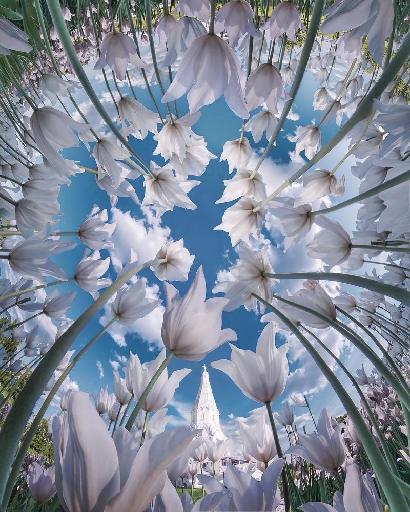 Photograph by Кристина Макеева