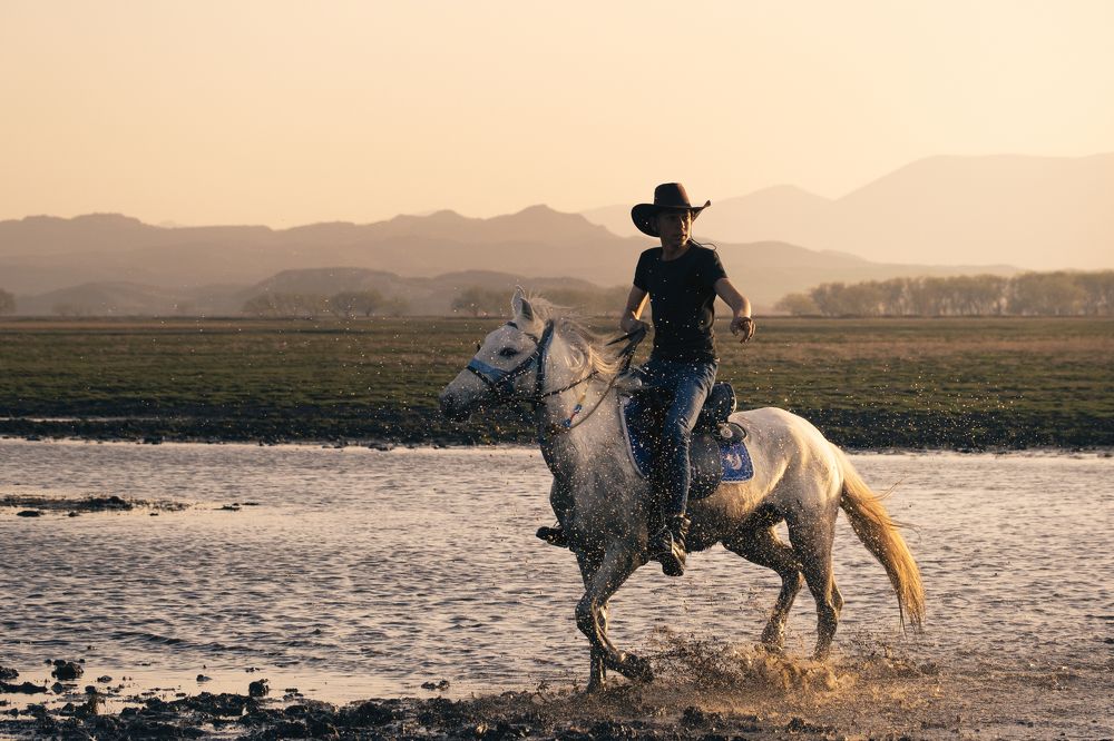 Прирученные дикие лошади в Турции