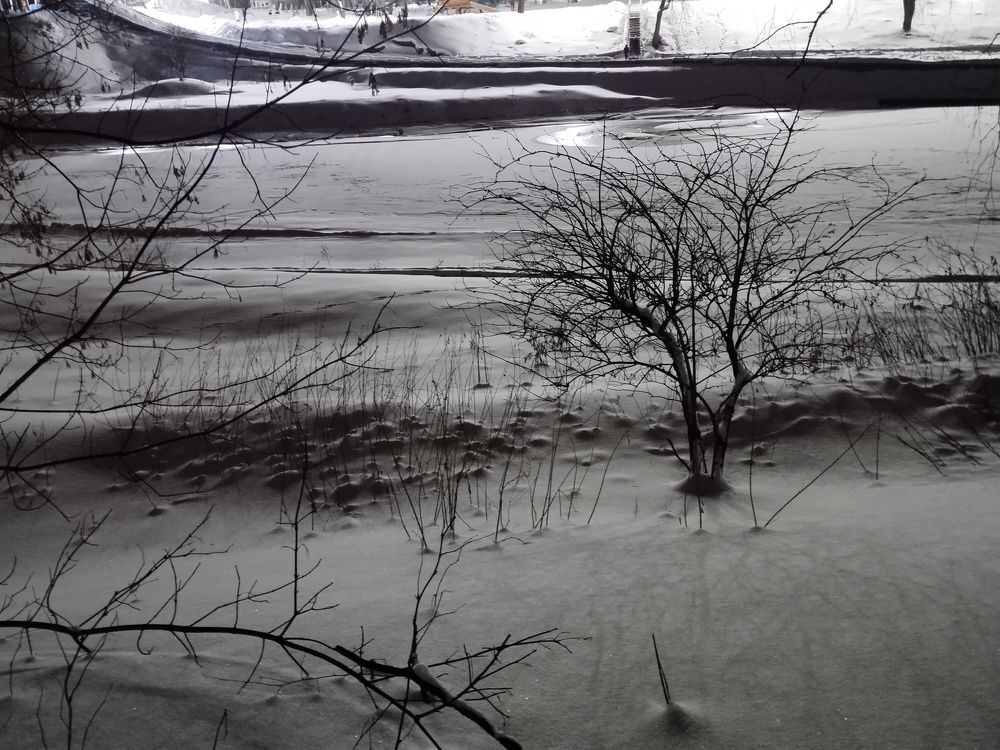 г. Рыбинск река Черемха