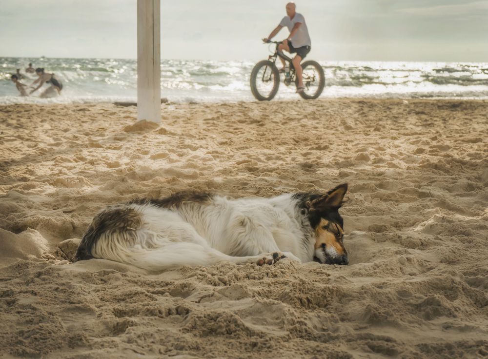 Photograph by Светлана Сычева