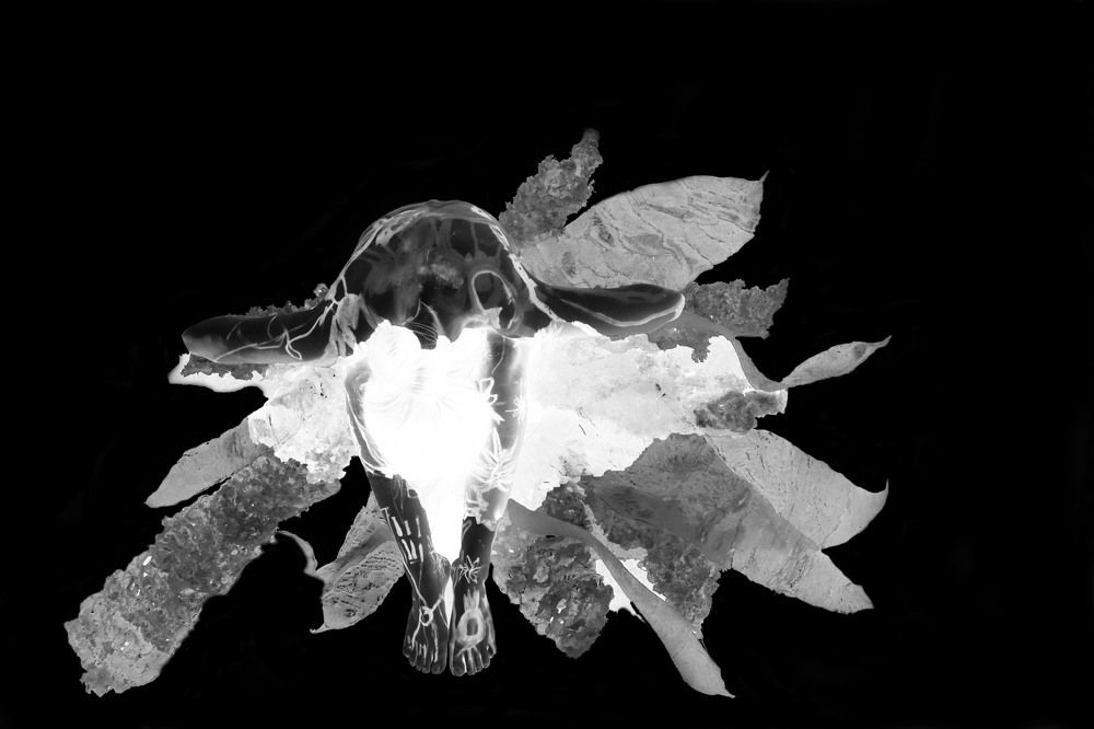 Photograph by Konstantina Rista