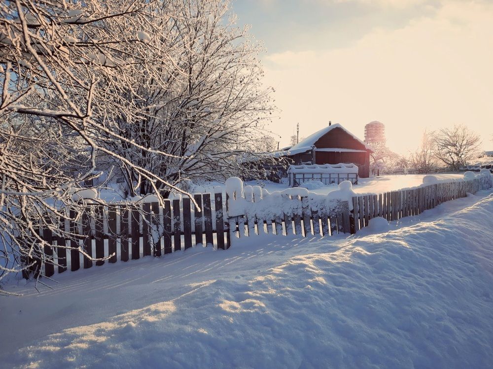 Photograph by Варвара Сапрыкина