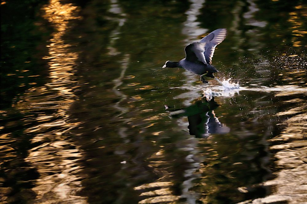 Photograph by Ритам Мельгунов