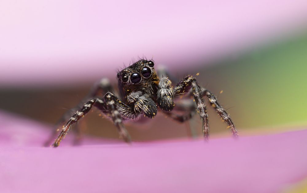 Photograph by Людмила Гудина