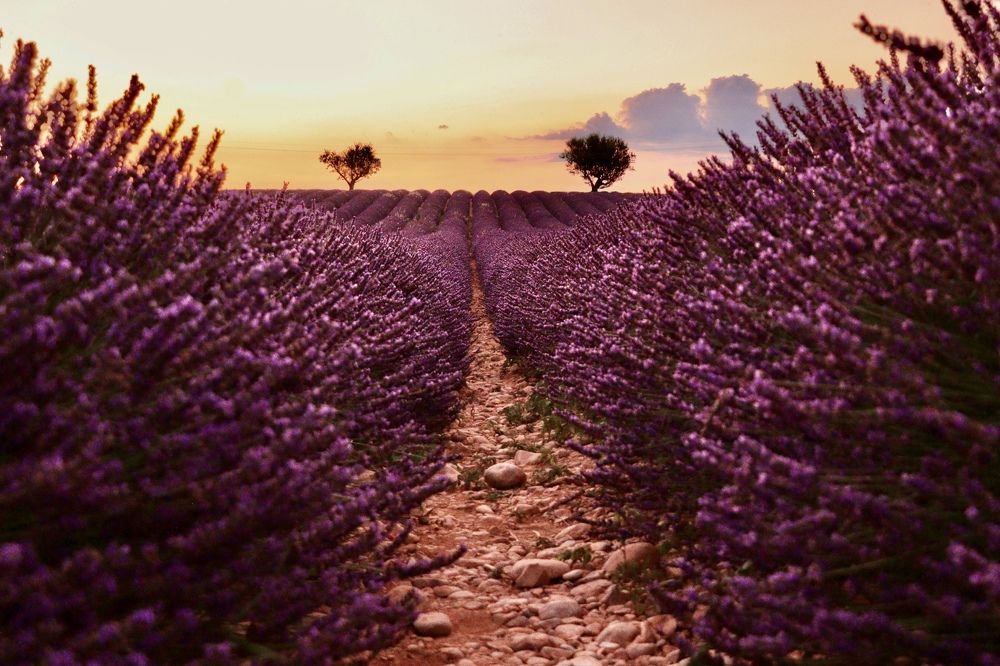 Photograph by Малика Маткарим