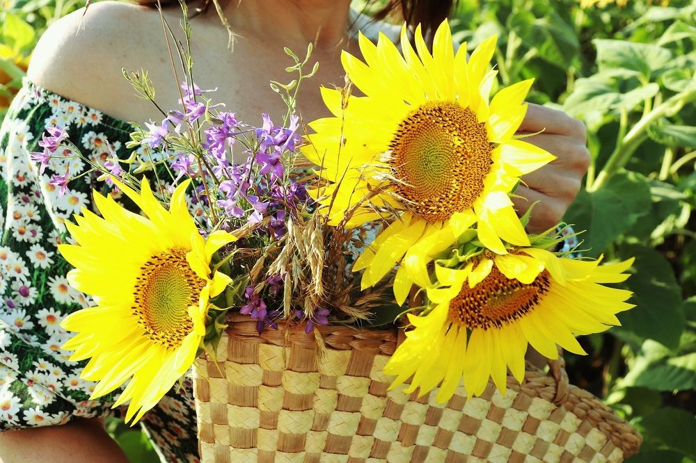 Photograph by Федоренко Элеонора