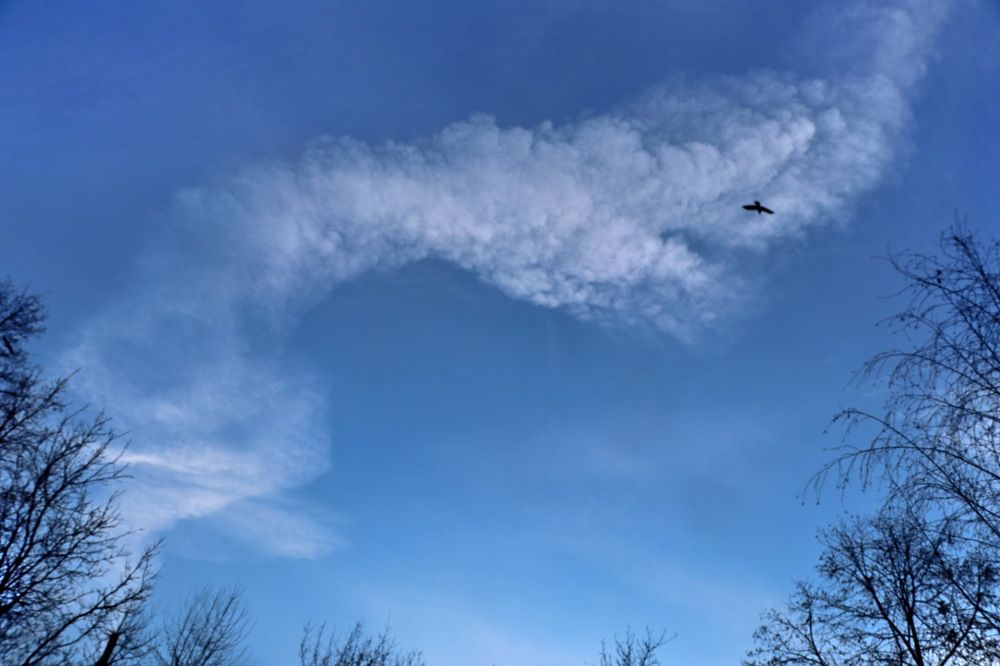 Photograph by Владимир Подкуйко