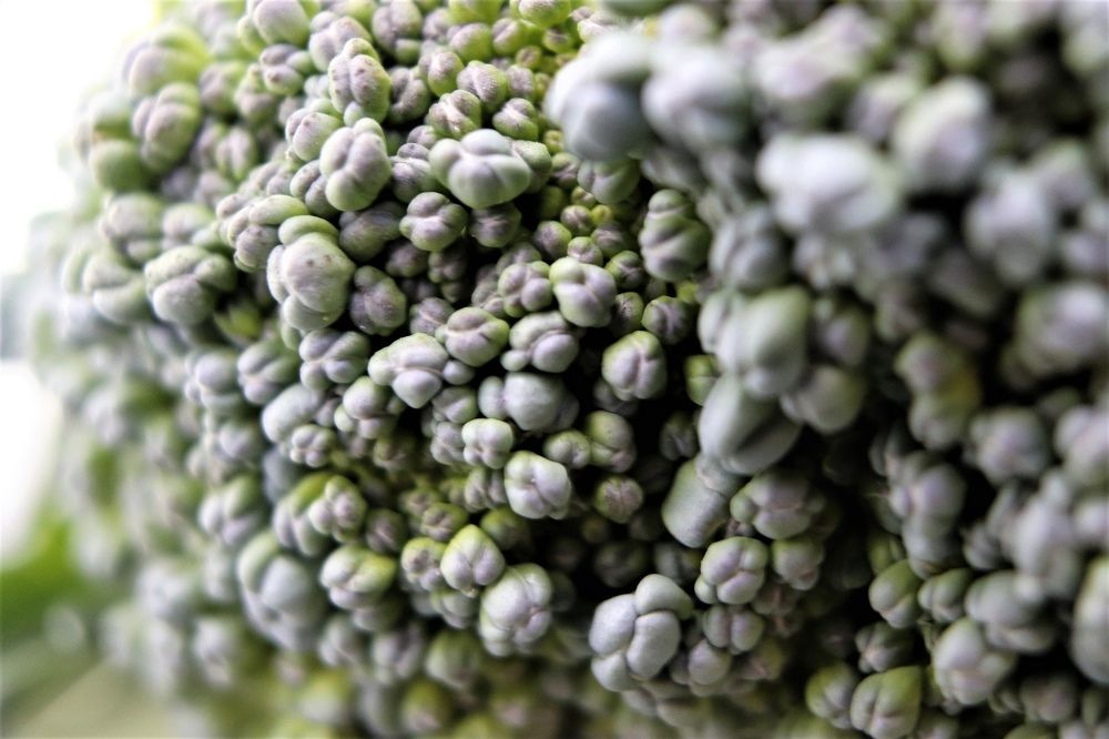 Photograph by Федоренко Элеонора