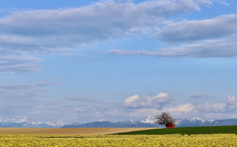 Photograph by Малика Маткарим