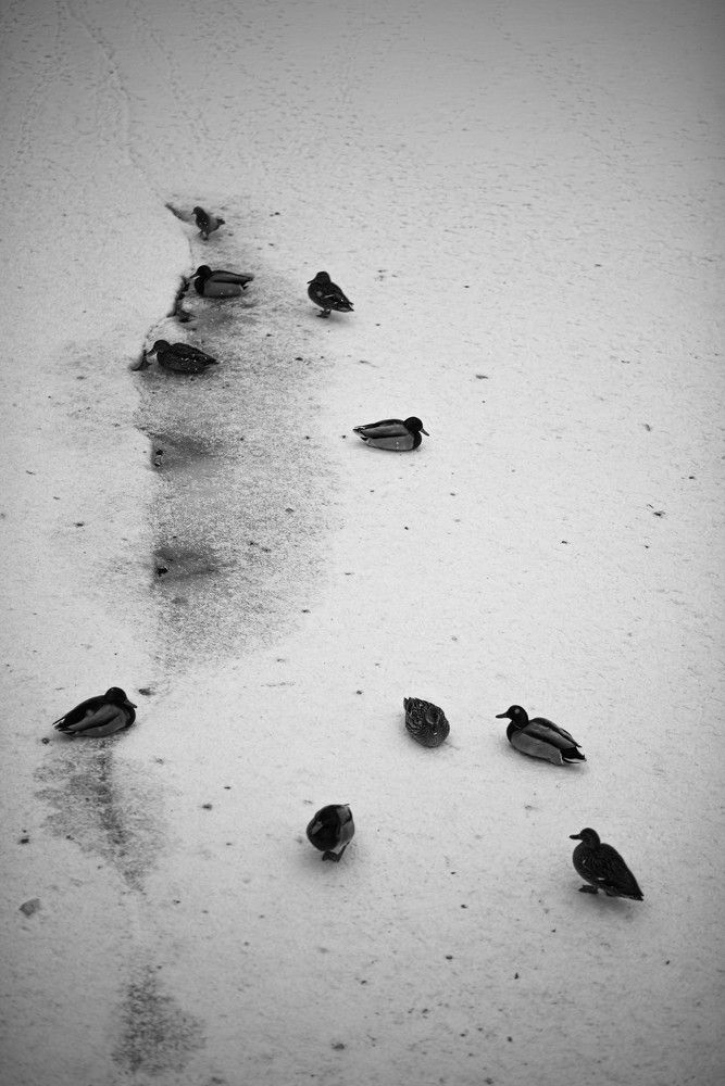 Photograph by Юрий Глазов