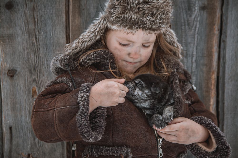 Photograph by Альбина Баташова