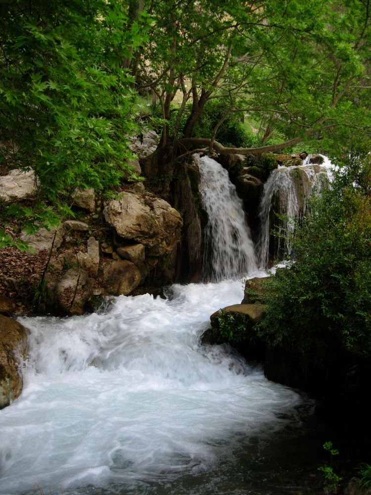 Photograph by Hajar Amir hajiloo