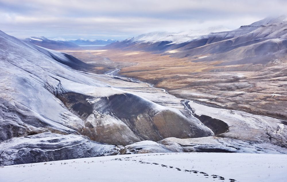 Первый снег...