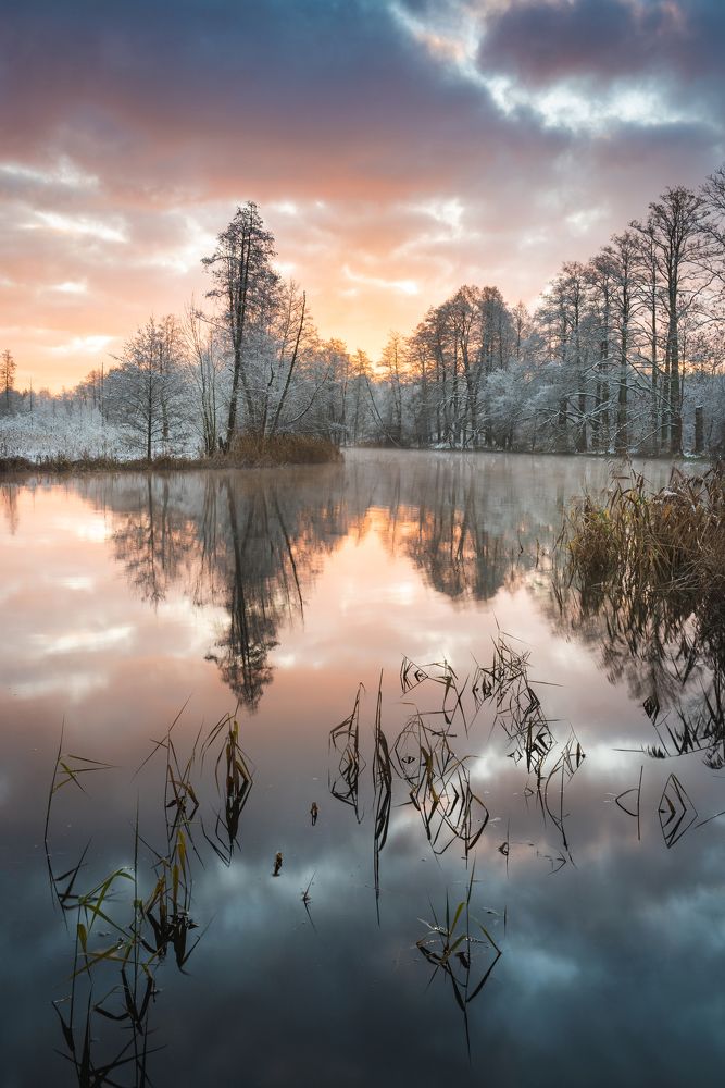 Photograph by Katarzyna Bochniak