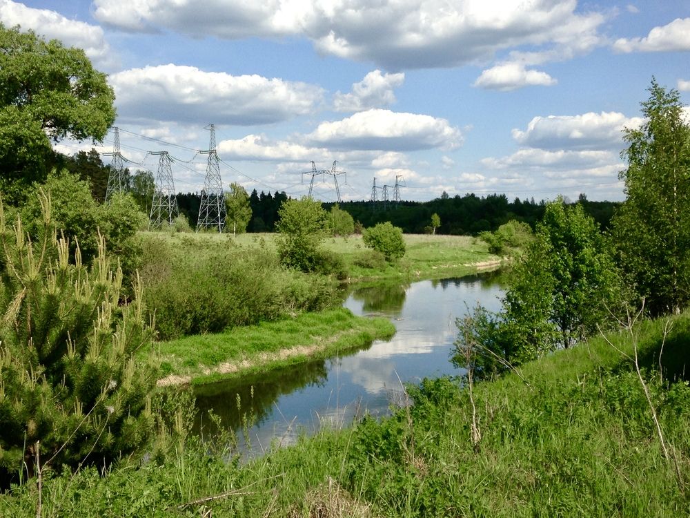 Фотография автора Юлия Шумейко