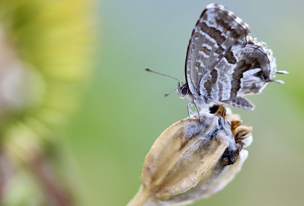 Photograph by Малика Маткарим