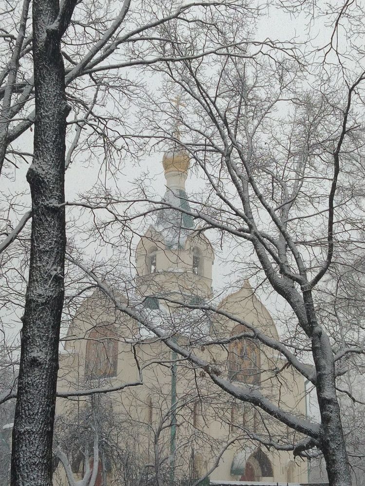 Зимние зарисовки