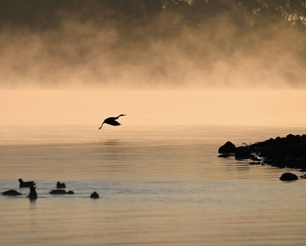 Photograph by Анатолий Андреев