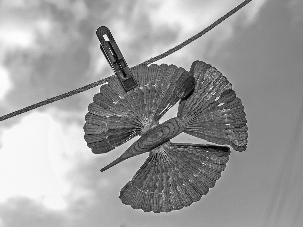 ,, Птица счастья "